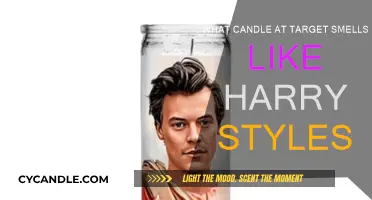 Harry Styles' Favorite Scent: Target's Candle Collection