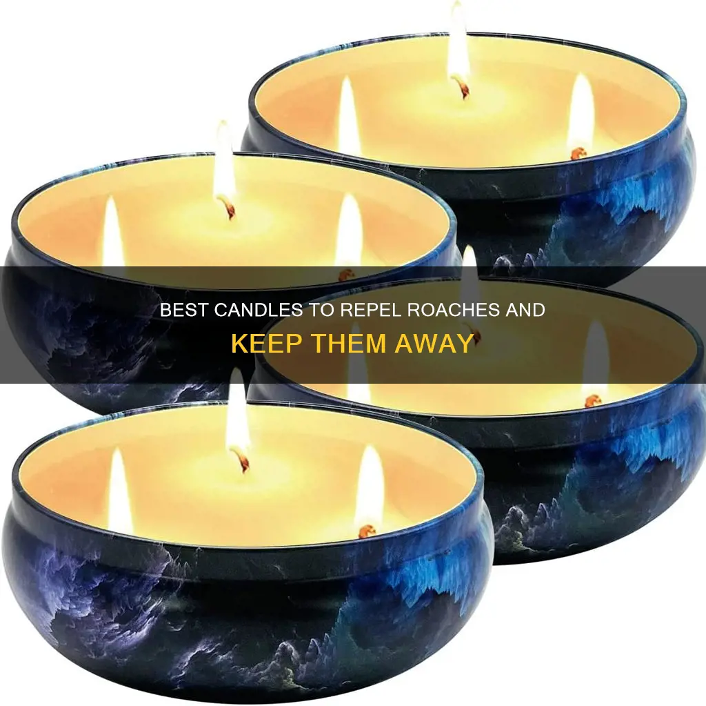 what candle attracts roaches