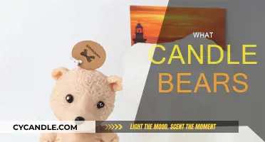 Candle-Bearing: A Guide to the World of Candles