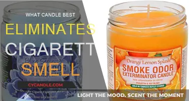 Best Candles to Neutralize Cigarette Odor