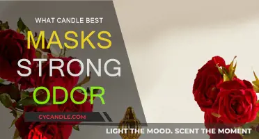 Best Candles to Neutralize Strong Odors