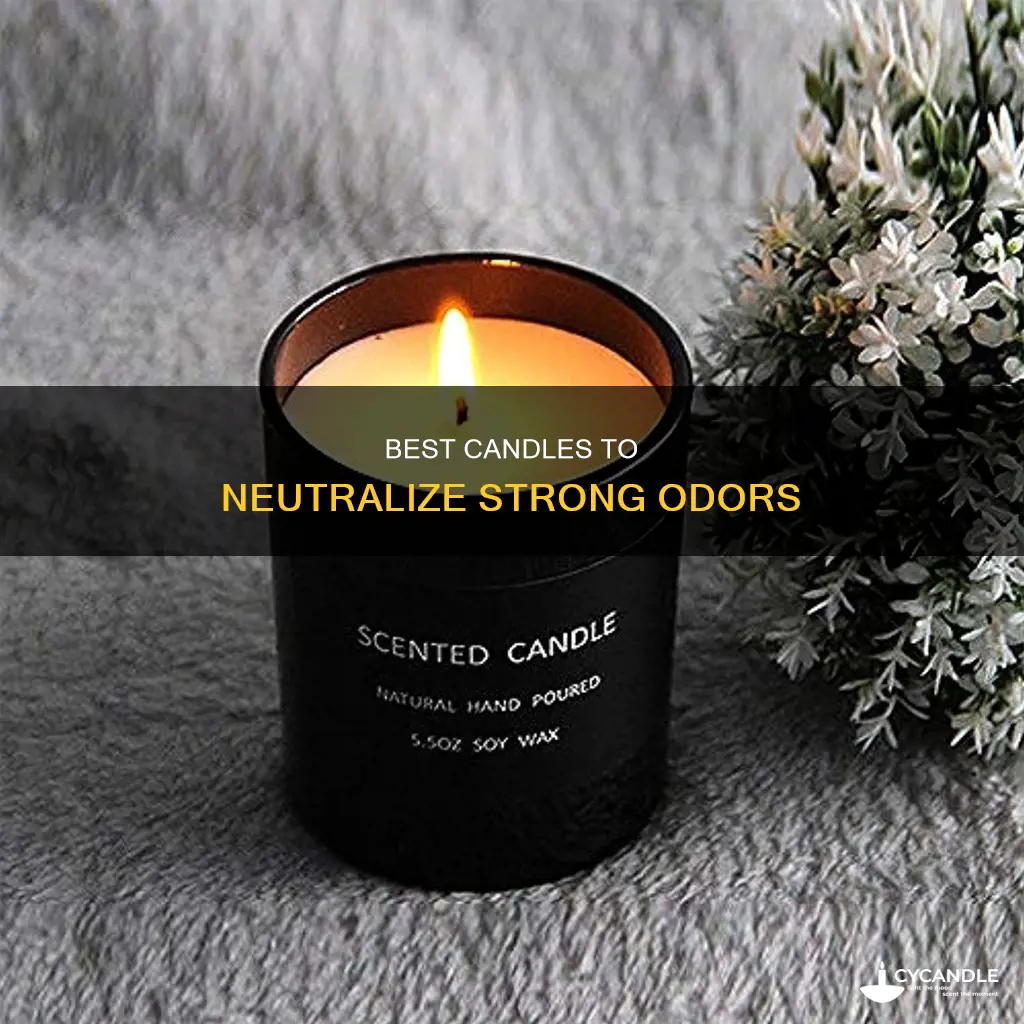 what candle best masks strong odor
