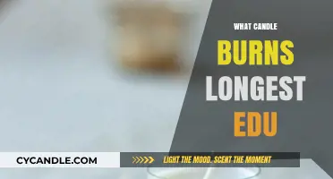 Discover the Longest Burning Candle: A Comprehensive Educational Guide