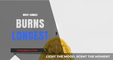 Discover the Longest-Burning Candle: Top Picks for Extended Glow