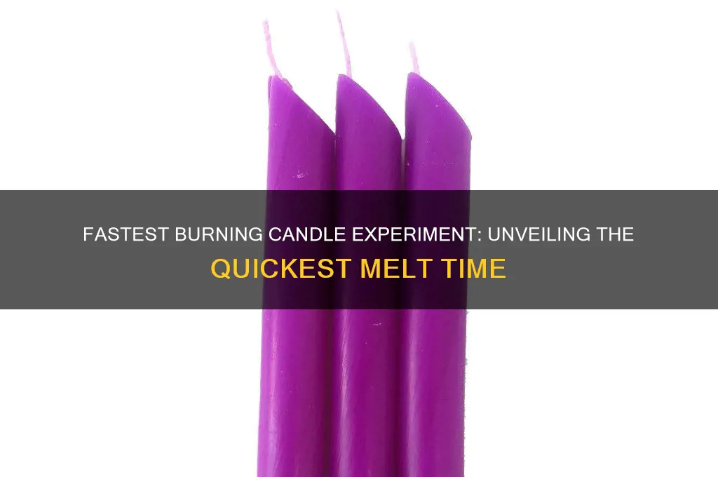 what candle burns the fastest experiment