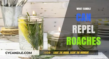 Natural Roach Repellents: Best Candles to Keep Cockroaches Away