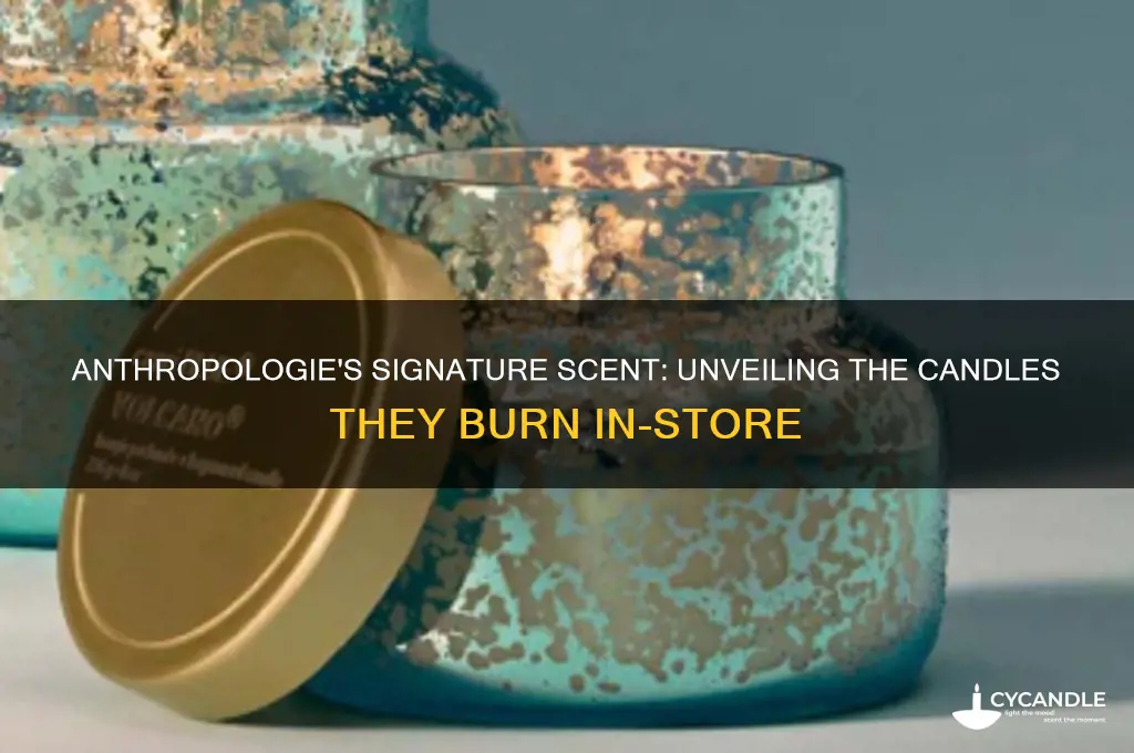 what candle do they burn in anthropologie