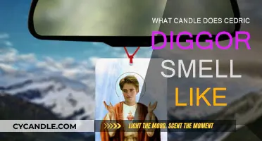 Cedric Diggory: What Candle Scent Suits Him Best?