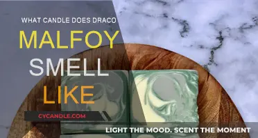 Draco Malfoy's Candle Scent: What Would It Be?