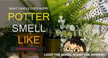 Harry Potter: What Magical Scents Fill the Air?