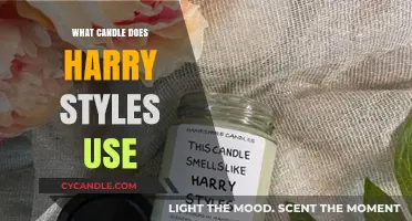 Harry Styles' Signature Scent: Unveiling His Favorite Candle Choice