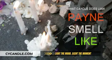 Liam Payne's Favorite Candle Scents: Aroma Guide