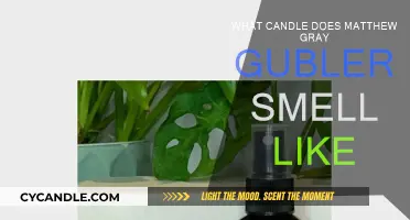 Unveiling Matthew Gray Gubler's Candle Scent Preferences