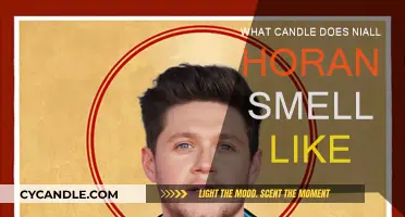 Niall Horan: What Candle Scent Suits Him Best?