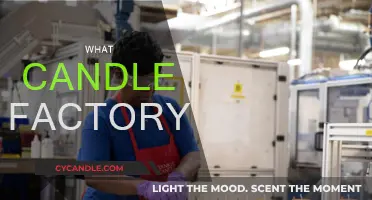 Candle Factory: What's Behind the Craft