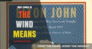 Unveiling the Poignant Meaning Behind 'Candle in the Wind