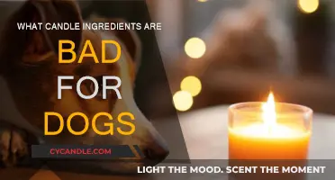 Candle Ingredients That Are Harmful to Dogs