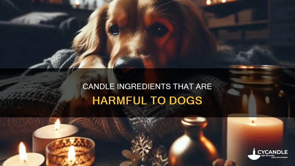 what candle ingredients are bad for dogs