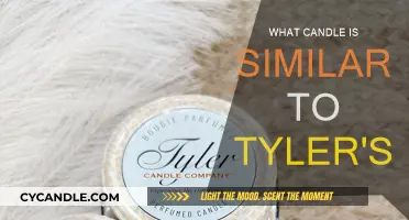 Tyler's Candle Alternatives: Similar Scents for Your Home