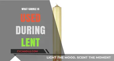 Lenten Candle Traditions: Understanding the Paschal Candle's Role in Lent