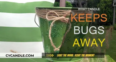 Best Candles to Keep Pesky Bugs Away