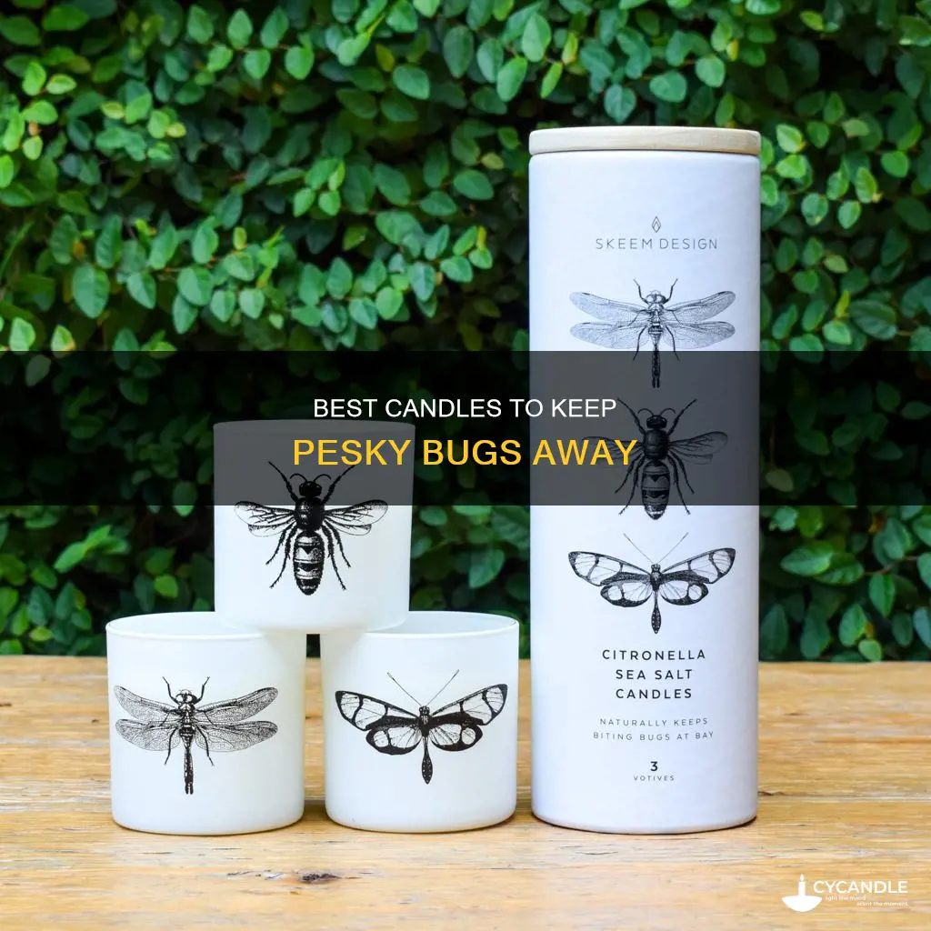 what candle keeps bugs away