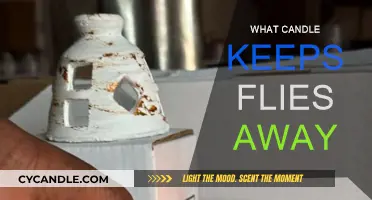 Natural Candles: Keep Flies Away, Stay Bug-Free