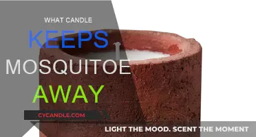 Best Candles to Keep Mosquitoes Away