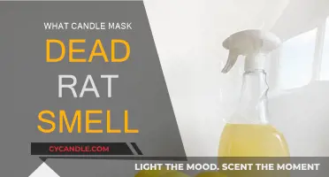 Masking Dead Rat Odor: Candles to the Rescue