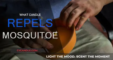Candles That Keep Mosquitoes Away: Natural Repellents