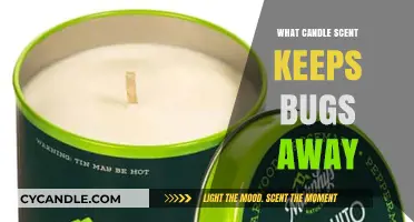 Natural Bug Repellent: Best Candle Scents to Keep Insects Away