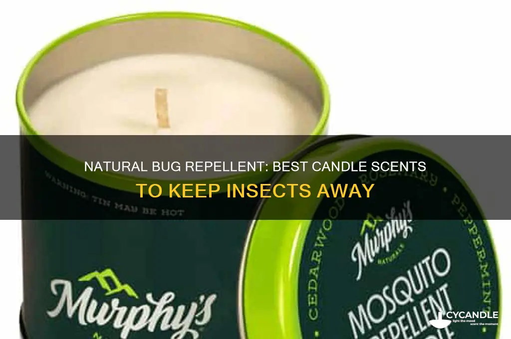 what candle scent keeps bugs away
