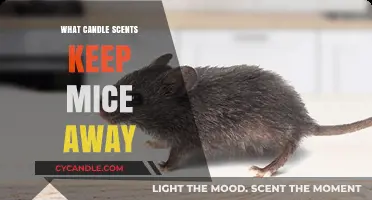 Repel Mice Naturally: Best Candle Scents to Keep Rodents Away