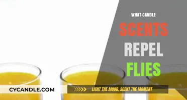 Natural Fly Repellents: Best Candle Scents to Keep Flies Away