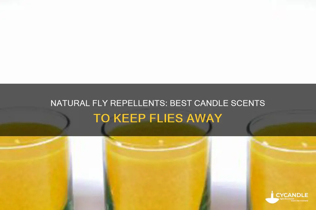 what candle scents repel flies