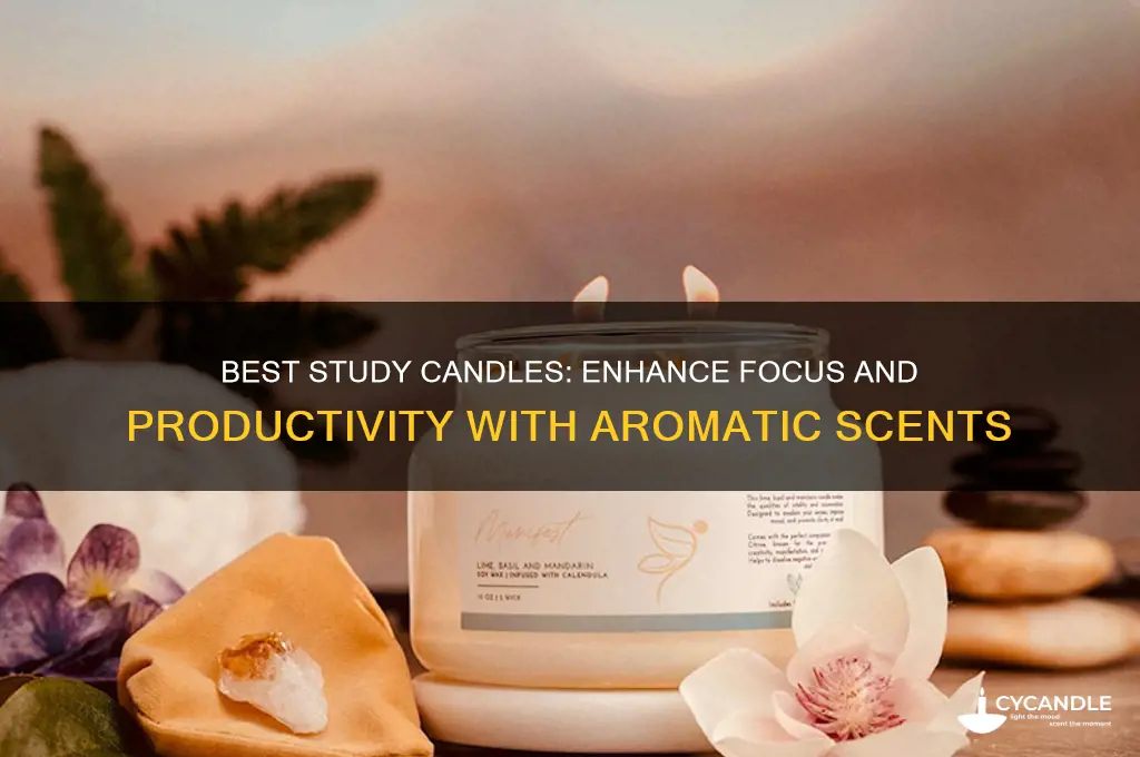 what candle should i use to study
