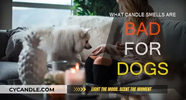 Candle Scents That Are Harmful to Dogs' Health