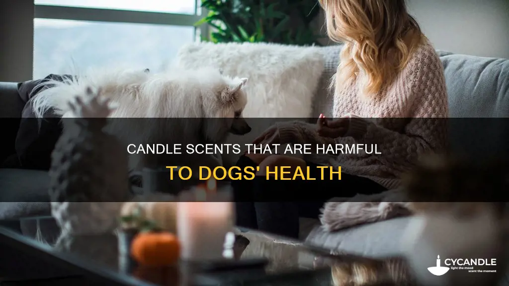 what candle smells are bad for dogs
