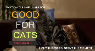 Candle Scents That Are Toxic to Cats