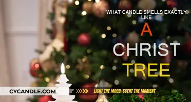 Christmas Tree Candles: Finding the Perfect Festive Scent