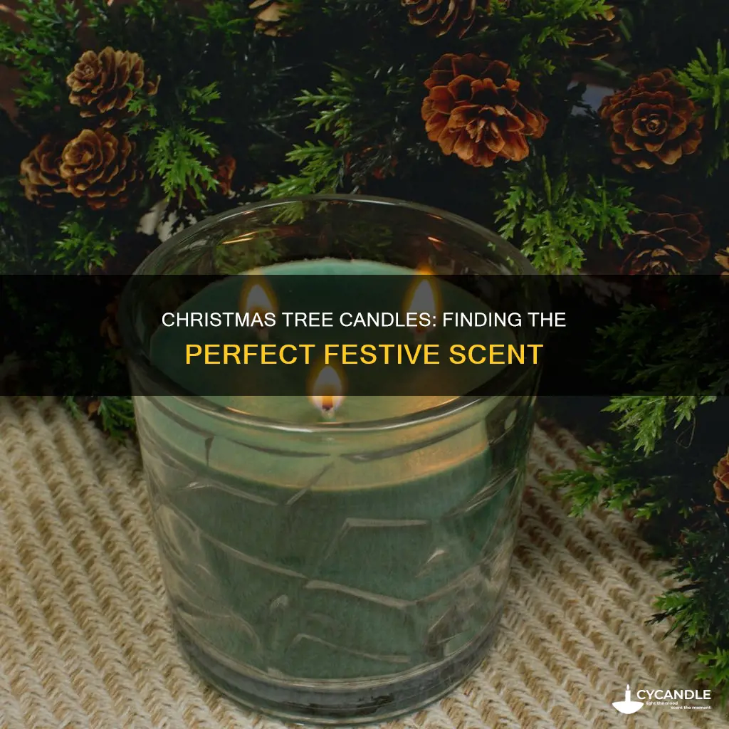 what candle smells exactly like a christmas tree