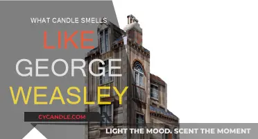 Weasley's Signature Scent: A Magical Candle Experience