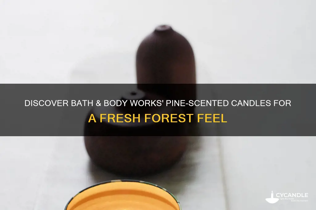 what candle smells like pine at bath and body works