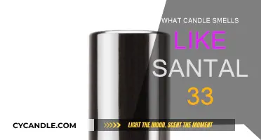 Discovering the Santal 33 Scent in Candles