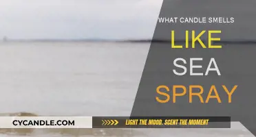 Candles That Evoke the Sea: Ocean Spray Scents