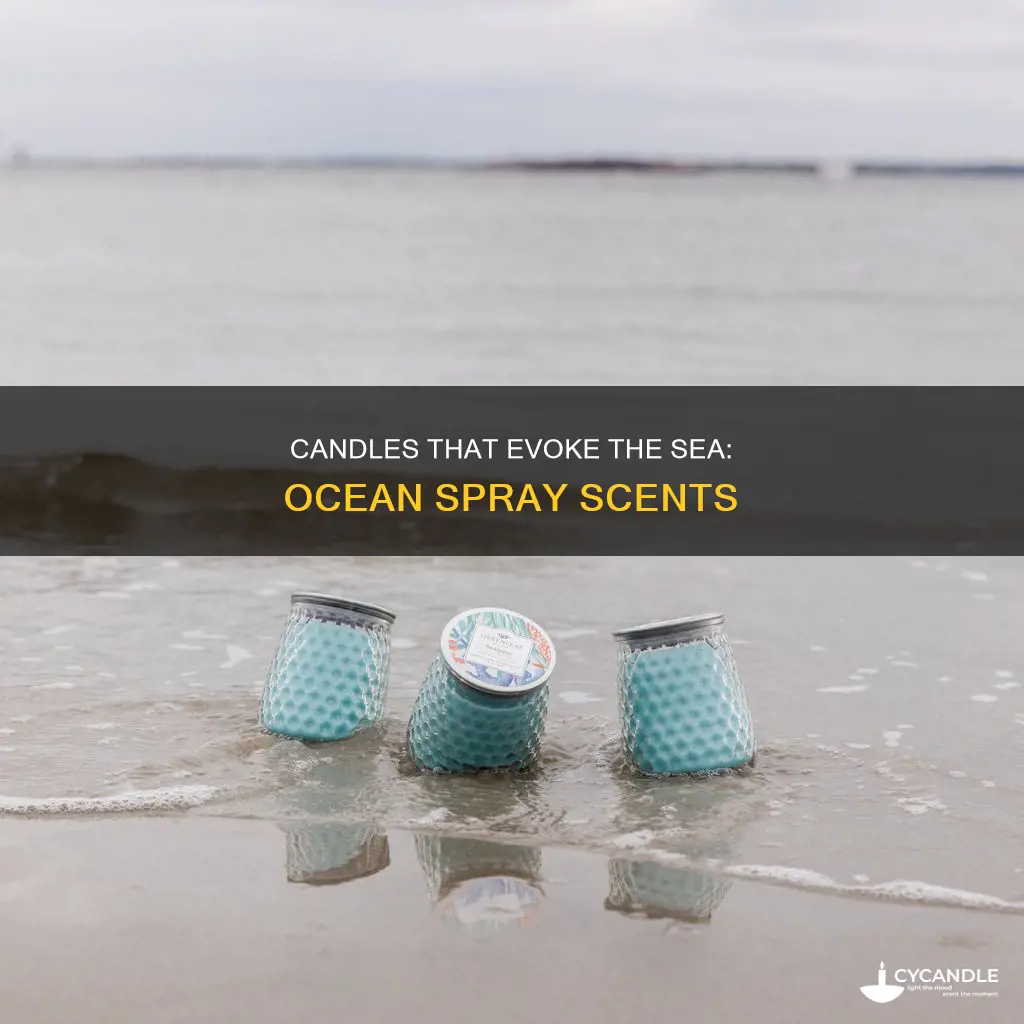 what candle smells like sea spray
