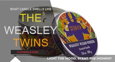 The Weasley Twins: A Magical Candle Scent