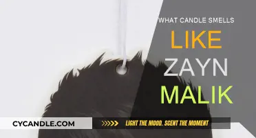 Scents of Zayn: Candles for the Malik-Inspired Home