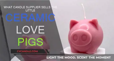 Finding Love Pigs: Candle Supplier for Your Home