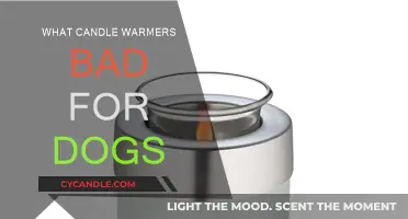 Candle Warmers: Are They Safe for Dogs?